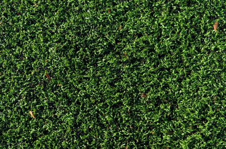 top view of a piece of artificial grassの写真素材
