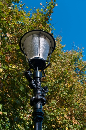 vintage street lamp against some bushesの写真素材