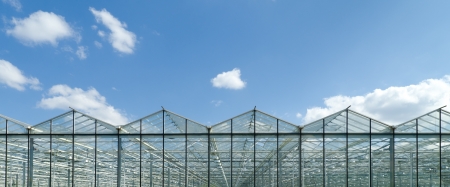 exterior of a commercial greenhouse in the Netherlandsの写真素材