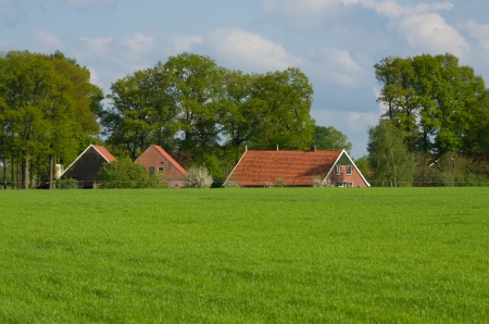 dutch farm house in agricultural landscapeの写真素材