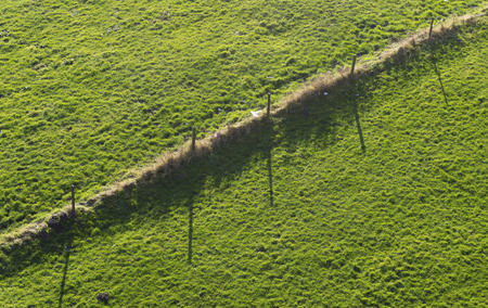 fence with barbed wire in a meadow along the rhine riverの写真素材