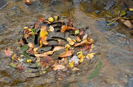drain filled with autumn leaves and waterの写真素材