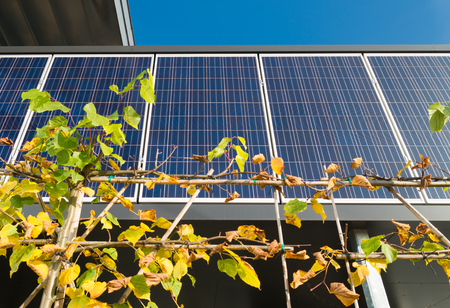 solar panels on an ofiice building
