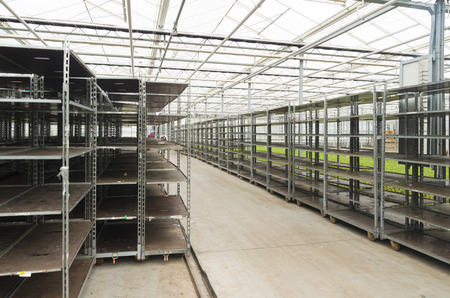 empty crates in a commercial greenhouse in the netherlands
