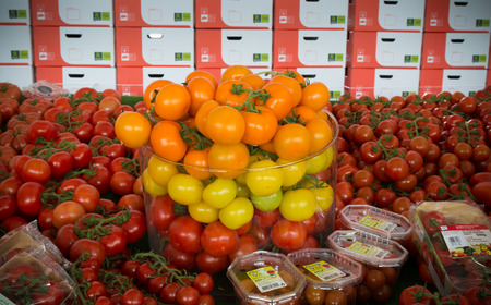 NAALDWIJK, NETHERLANDS - APRIL 2, 2016: exposition of different colors of ripe tomatoes during an open day in a dutch greenhouseのeditorial素材