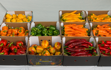 NAALDWIJK, NETHERLANDS - APRIL 2, 2016: Different colors and shapes of bell peppers in boxes ready for the auctionのeditorial素材