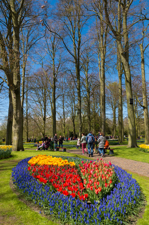 LISSE, NETHERLANDS - APRIL 17, 2016: Unknown tourists visiting the famous keukenhof tulip gardens in the netherlandsのeditorial素材