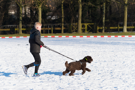 OLDENZAAL, NETHERLANDS - JANUARY 22, 2017: Unknown boy canicross running in a snow white landscape