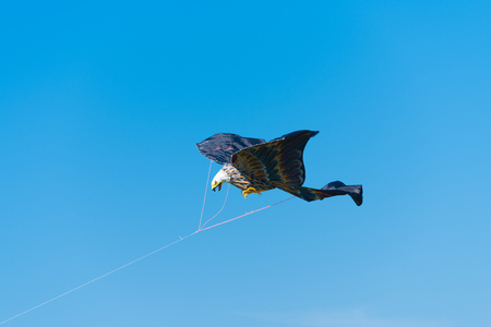 eagle shaped kite against a blue skyの写真素材