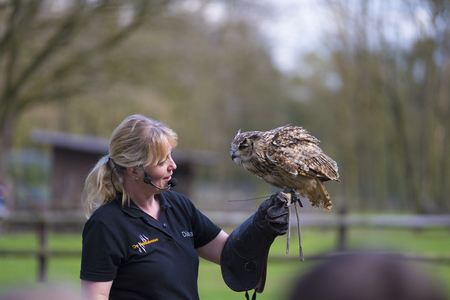 REKE, GERMANY - APRIL 15, 2018: Unknown woman with an owl on her hand giving a show in a local animal parkのeditorial素材