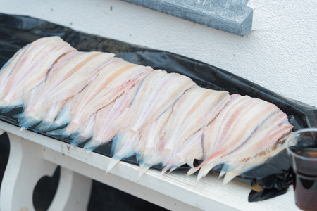fresh fish for sale in a dutch fisherman`s villageの写真素材