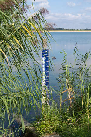 water level meter between the reed in the netherlandsの写真素材