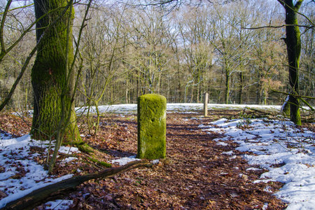 old weathered border stone between germany and the netherlandsの写真素材