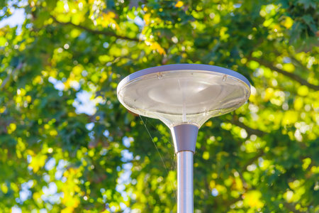 top of a street lightの写真素材