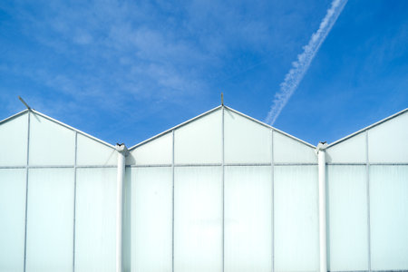 exterior of a commercial greenhouse against a blue skyの写真素材