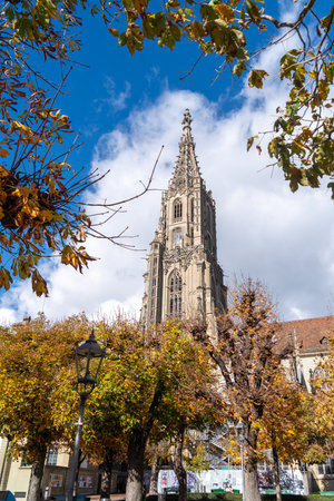 Muenster cathedral (Berner Muenster) in Bern, Switzerland. Built in the Gothic style, its construction started in 1421. Its tower, with a height of 100.6 m (330 ft), was only completed in 1893. It is the tallest cathedral in Switzerland.の写真素材