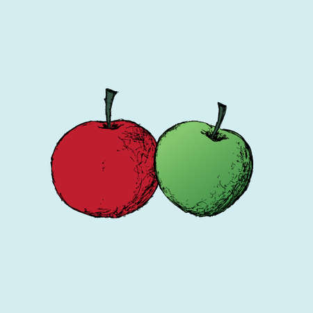 Simple hand drawn to digital illustration of 2 apples.のイラスト素材