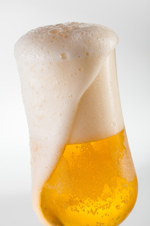 Beer overflowing in a tulip glassの写真素材