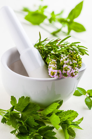 A white mortar with herbs: thyme,basil,oregano,rosemary,parsley,mint. Selective focus.の写真素材