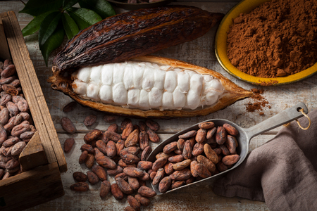 Cocoa beans and cocoa pod with cocoa powder on a wooden surface.の写真素材