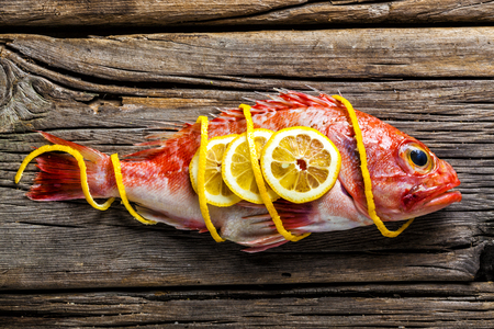 Red scorpionfish on a worn out wooden tableの写真素材