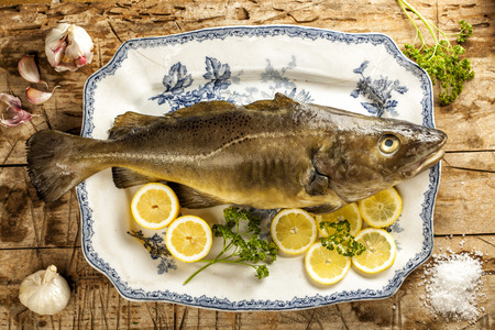 Fresh raw cod on a ceramic dish with lemon, garlic and parsleyの写真素材