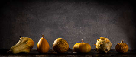 Gourds in different curious and funny shapes and sizes.の写真素材