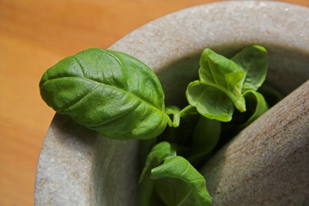 basil pesto