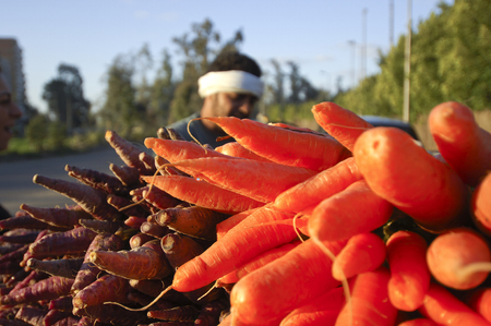 Egyptian Farmer Selling Carrots Beside The Road, Cairo, Egypt on 02-09-2006のeditorial素材