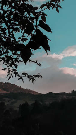 The light is soft and diffuse and the colors look well saturated. At sunset as the Sun is closer to the horizon, the light must pass through a portion of the atmosphere with increasing magnitude to reachの写真素材