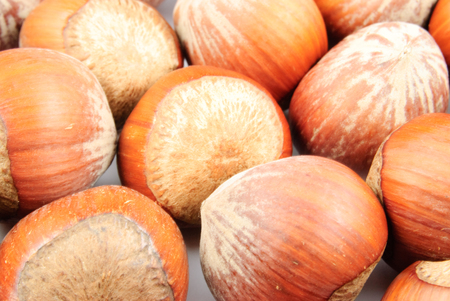 Closeup view of hazelnuts (Corylus avellana) on white backgroundの写真素材