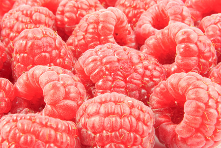 closeup view of some raspberries (Rubus idaeus) on white backgroundの写真素材