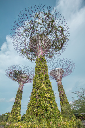 Super tree Grove Gardens in Singaporeのeditorial素材