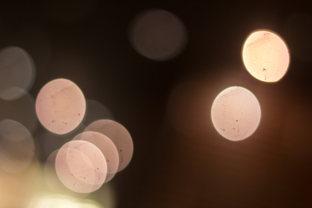 bokeh background by neon lights in a coffee shop.の写真素材