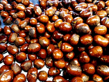 A lot of chestnut on the steel plate at street food marketの写真素材