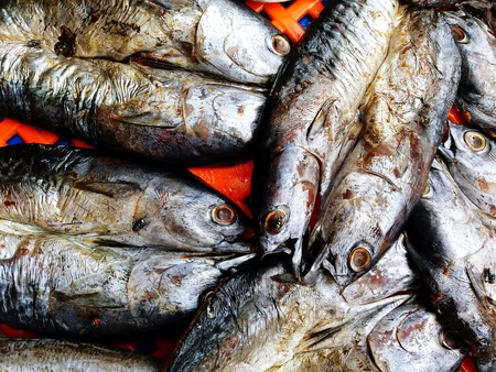 Close up many mackerel and saba fish on red plastic net at street food market. Many fly swarm on dried fish.の写真素材