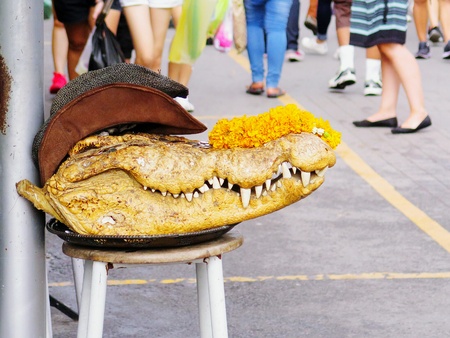Crocodile head and hat with marigold garland putting on the chair with people walking on the street background. Someone killed crocodile and bringing its head for worship or adore.の写真素材