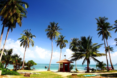 Many coconut palm tree and small house with clear blue sky and tropical sea for background at Mu Ko Ang Thong National Park, Surat Thani, Thailand -  Beautiful Landscape and Landmark for touristのeditorial素材