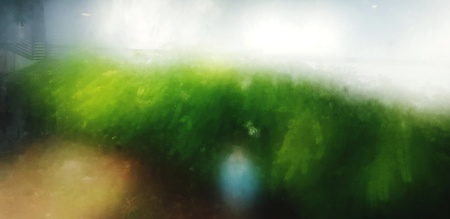 Blurred green plant nature at garden for background - Close up stream on grass with green and white colorの写真素材