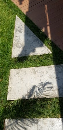 Beautiful exterior pathway or walkway design with white art tile, green grass, wooden floor and shadow of tree at outdoor of homeの写真素材