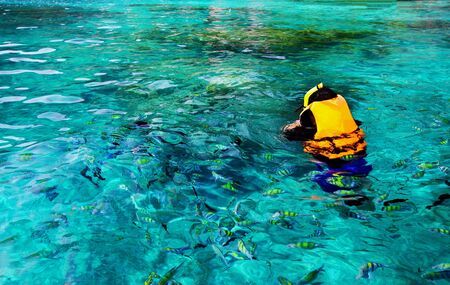 Asian man in orange life jacket with diving mask is snorkeling among many Indo-Pacific sergeant fish on Andaman Sea, Krabi, Thailand with Left copy space - Sport, Activity, Beauty of Nature and Travelの写真素材