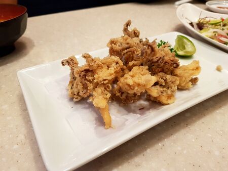 Deep fried squid with sliced lime or lemon in white dish on table at Japanese restaurant - Snack food and Seafoodの写真素材