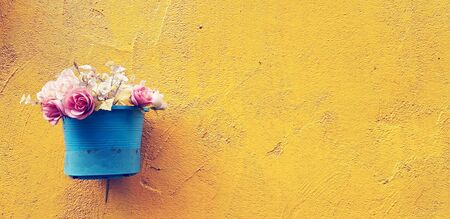 Beautiful white, pink and red rose blooming in blue flowerpot or vase hanging or isolated on rough yellow wall background with right copy space in vintage toneの写真素材