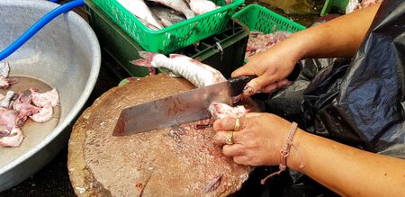 Close up woman's hand or chef use knife to cut or slice fresh Catfish fish on wooden butcher for...