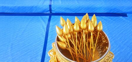 Many golden lotus in silver bowl on pedestal tray for worshiping Buddha with blue floor background and copy space. Respect and Faith of Buddhist or Asian people.の写真素材