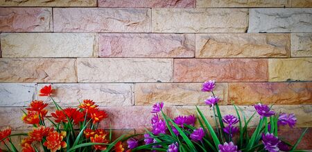 Beautiful orange or red flower and purple or violet flower blooming on grunge brick wall or...