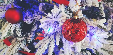 Red ball with ribbon decorated on pine tree with snowflake and  copy space. Happy new year, Christmas and Winter festival conceptの写真素材