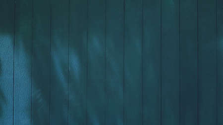 Green wooden background with sunlight and shadow shade on wall. Pastel wallpaper and Exterior...