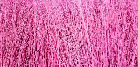 Beautiful Pink straw background.  Line pattern and Textured of tree trunks or branches. Art natural wallpaper.の写真素材