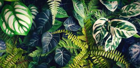 Fern and green leaves background. Plant growth or nature wallpaper. Ornamental tree for decoration in vintage or blue tone. Beautiful natural conceptの写真素材